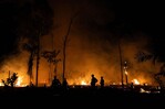 Decenas de incendios forestales arden sin control en la costa este de Australia