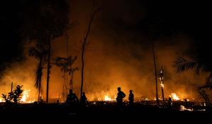 Decenas de incendios forestales arden sin control en la costa este de Australia