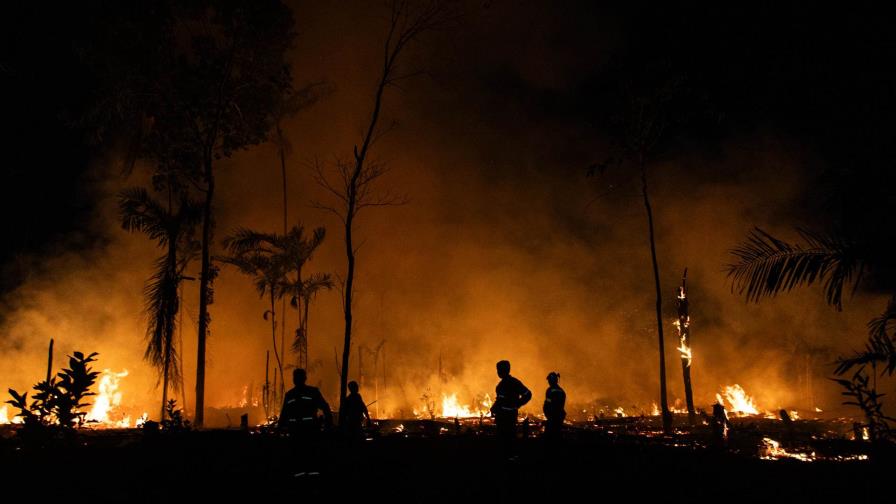 Decenas de incendios forestales arden sin control en la costa este de Australia