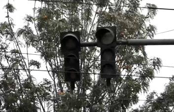 Ecuador sufre primeros apagones que racionan electricidad por histórica sequía en Amazonía Ecuador sufre primeros apagones que racionan electricidad por histórica sequía en Amazonía