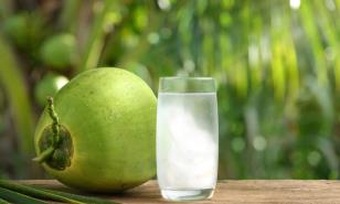 El agua de coco gana espacio entre los consumidores dominicanos
