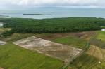 La muerte lenta del manglar en La Gina La muerte lenta del manglar en La Gina