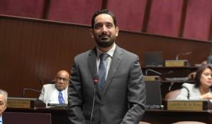 Acuerdo entre FP y Opción Democrática busca que PRM no tenga control absoluto del Congreso