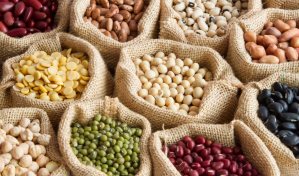 La agroalimentaci&oacute;n latinoamericana cuesta 1,200 millones de d&oacute;lares "ocultos", seg&uacute;n FAO