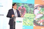 Representante de la FAO en el pa&iacute;s: "Una dieta saludable cuesta 60 % m&aacute;s"