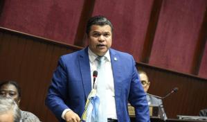 Diputados opositores solicitan interpelación de Hugo Beras