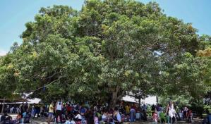 El Clan del Golfo cobra decenas de millones por paso de migrantes en Darién, según informe