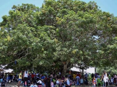 Clan del Golfo cobra millones por paso de migrantes