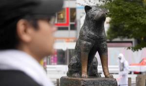 Hachiko: 100 años del perro fiel que esperó a su dueño en la estación de tren de Shibuya