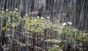 Vaguada continuará generando lluvias en gran parte de la República Dominicana