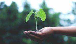 C&oacute;mo adoptar h&aacute;bitos ecol&oacute;gicos en tu vida diaria