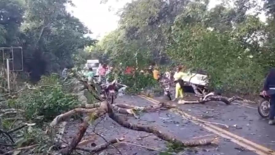 Muere hombre y otro resulta herido al caer árbol sobre vehículo en Monseñor Nouel