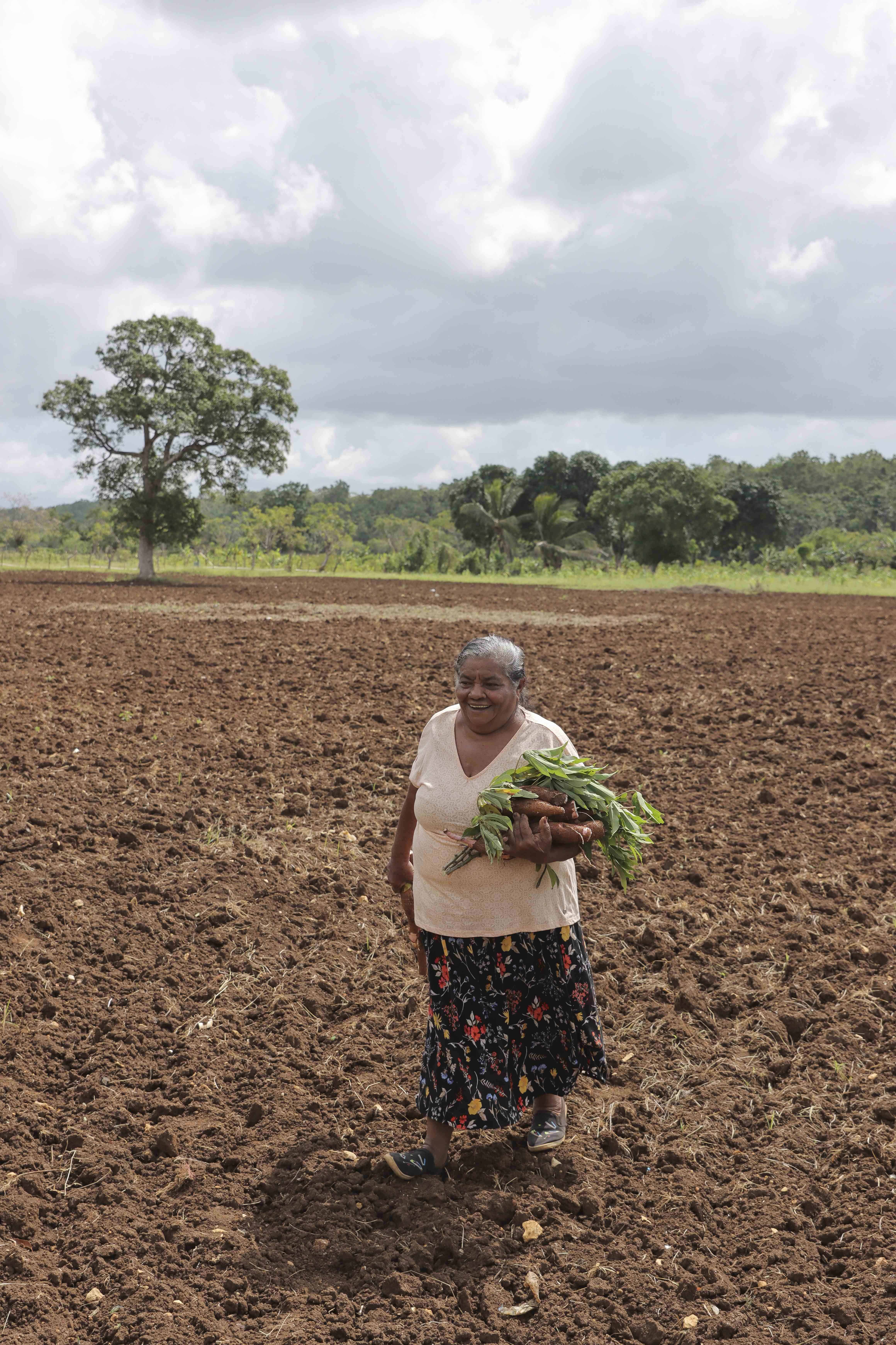 [object HTMLTextAreaElement]