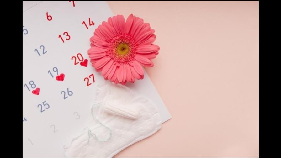 El ciclo menstrual y tu salud general: lo que debes saber