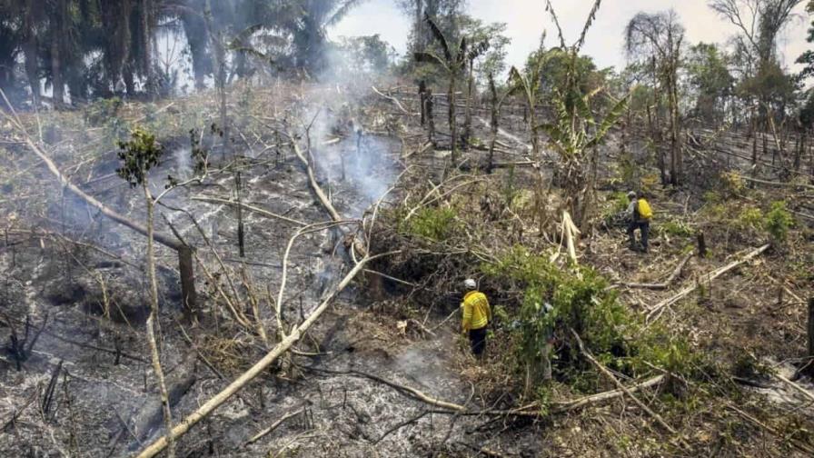 Medio centenar de detenidos en Bolivia por provocar incendios forestales