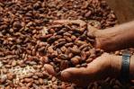 El precio del cacao supera récord de US$10,000 por tonelada en Nueva York