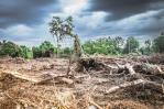 La India acude a la COP28 con la financiación climática y defensa del carbón por bandera La India acude a la COP28 con la financiación climática y defensa del carbón por bandera