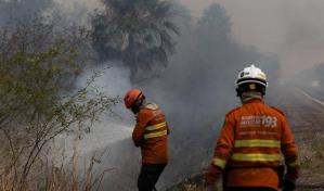 Los incendios se ceban con el Pantanal, el mayor humedal del planeta