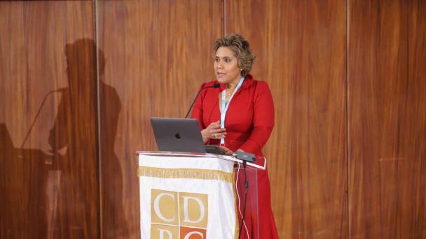 Directora de Procompetencia aboga por un gran acuerdo para adecuar ley 42-08