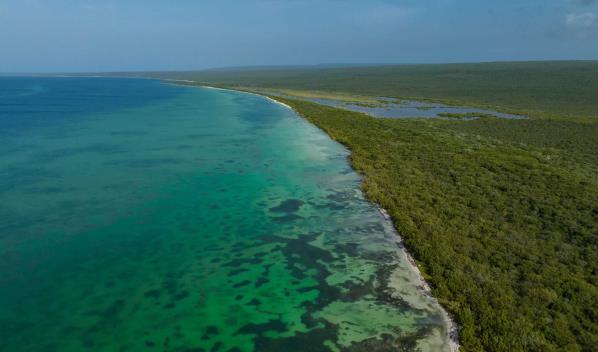 Dom&iacute;nguez Brito advierte que fallo por Jaragua abre la puerta a apropiaciones irregulares