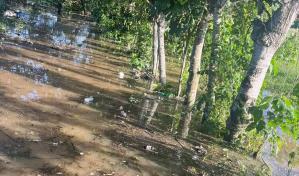 Muere hermano de comunicador Rafael Linares Guerrero arrastrado por el r&iacute;o Yuca