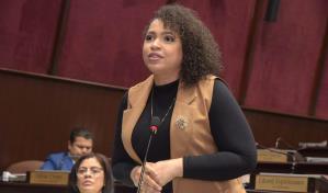 Cámara de Diputados aprueba ley que declara el 21 de junio como Día Nacional del Rock Dominicano