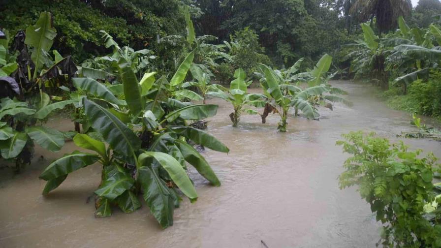 El agro encara pérdidas de más de RD$5,000 millones por las lluvias