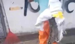 Serpiente hallada en la avenida Luperón era una boa constrictora colombiana