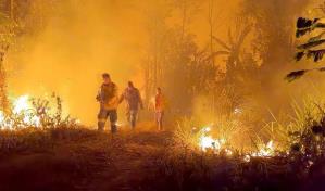 Aumenta amenaza de los incendios forestales en Latinoamérica