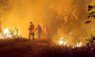 Aumenta amenaza de los incendios forestales en Latinoamérica