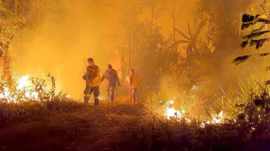 Aumenta amenaza de los incendios forestales en Latinoamérica