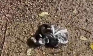 Ocho personas se intoxican con sustancia desconocida en Fantino, Sánchez Ramírez