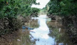 Chirino: donde el disturbio tropical acabó con la producción agrícola