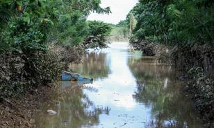 Chirino: donde el disturbio tropical acabó con la producción agrícola