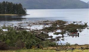 Autoridades comienzan a retirar escombros tras alud en Alaska; tres personas siguen desaparecidas