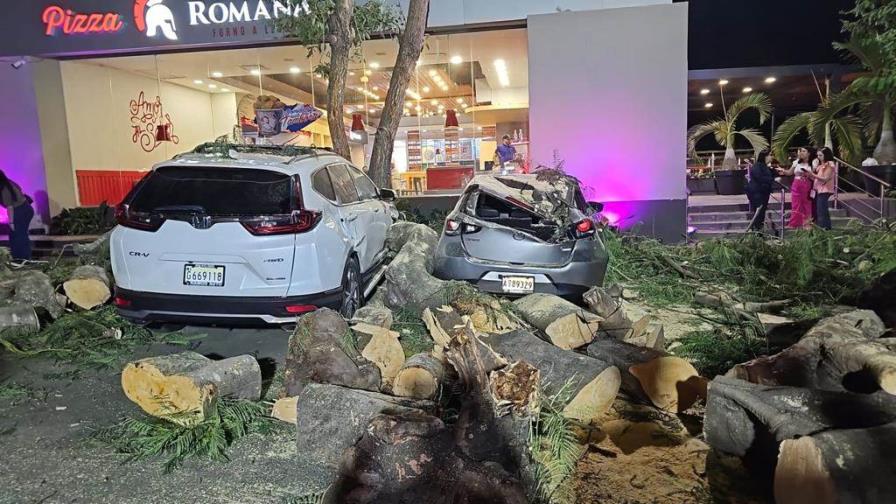 Árbol cae en parqueo y afecta a cuatro vehículos en Santiago