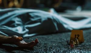 Mujer se declara culpable de atropellar y matar a un peat&oacute;n y dos polic&iacute;as en Pensilvania