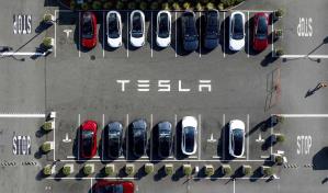 Tesla demanda a la agencia de transporte sueca por cese de envío de matrículas