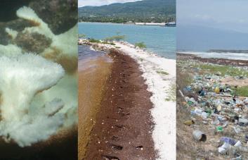 Tratarán en la COP28 el blanqueamiento coral y plásticos en el mar