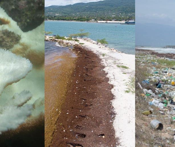 Tratarán en la COP28 el blanqueamiento coral y plásticos en el mar