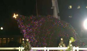 Un fuerte viento derriba el árbol de Navidad de la Casa Blanca