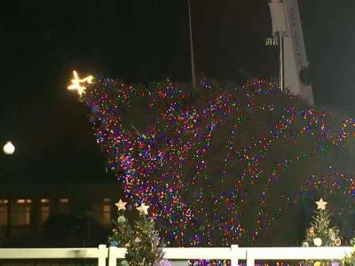 Viento derriba el árbol de Navidad de la Casa Blanca