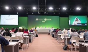 Un centenar de personas integran delegación dominicana en COP28