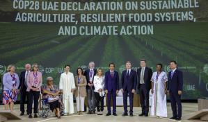 Analistas climáticos se muestran optimistas por los avances de la COP28 en segunda jornada