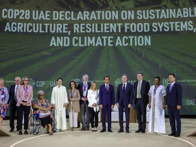 Analistas climáticos se muestran optimistas por avances de COP28