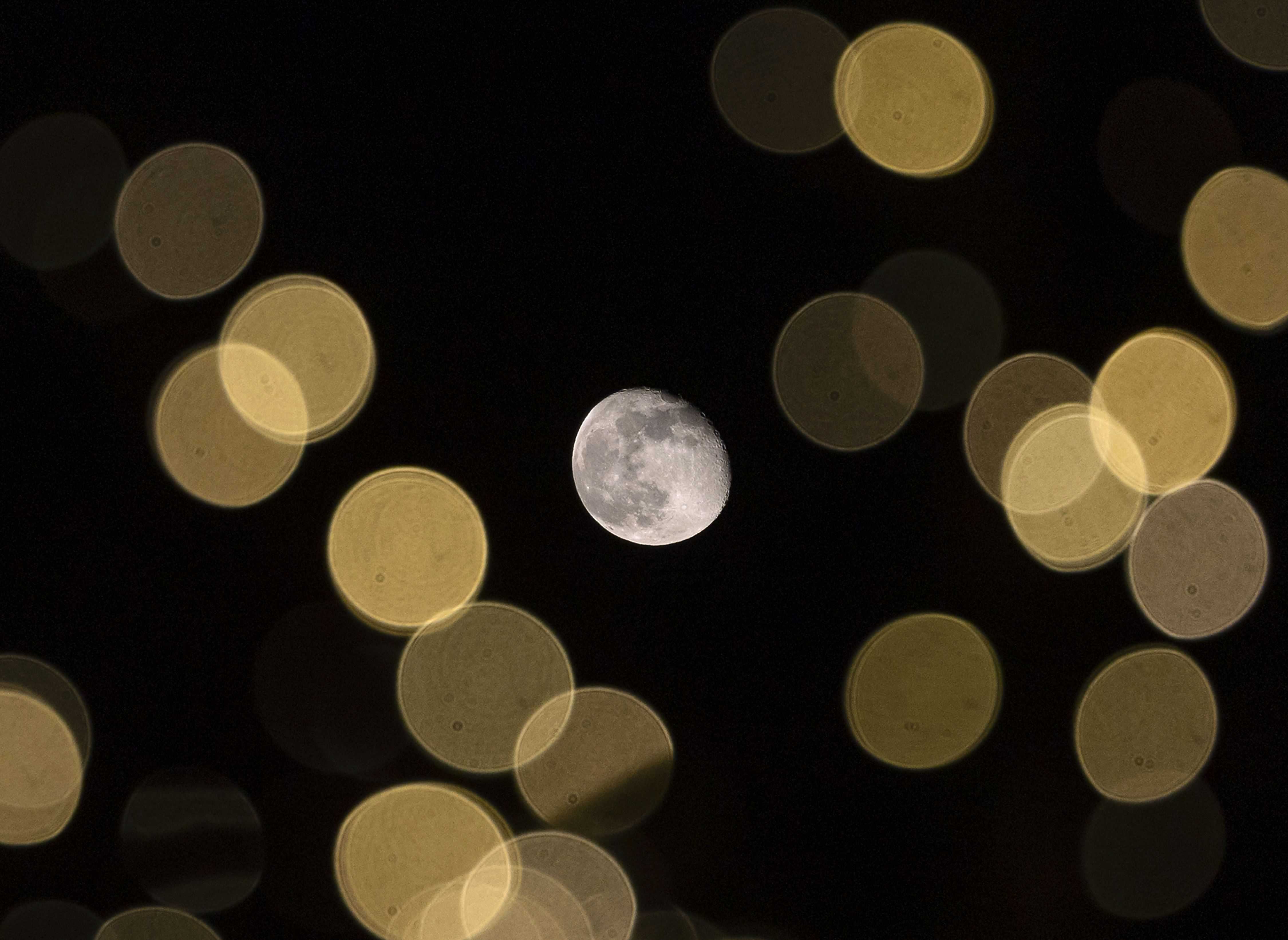 Una luna gibosa menguante comparte el cielo detrás de los árboles iluminados para la temporada navideña en el centro de Oconomowoc, Wisconsin, el miércoles 29 de noviembre de 2023.