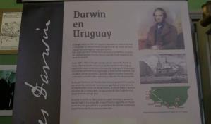 Uruguay celebra el legado de Darwin con una noche en su honor