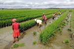 La FAO pide que el fondo de daños de la COP28 llegue a los agricultores más vulnerables