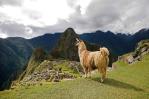 Perú amplía a 5,600 turistas diarios visitas a Machu Picchu