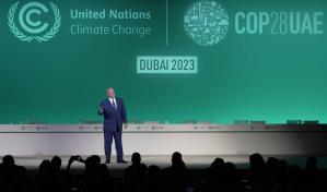 Entender, conectar o buscar el cambio, ¿por qué importa una COP para la sociedad civil?